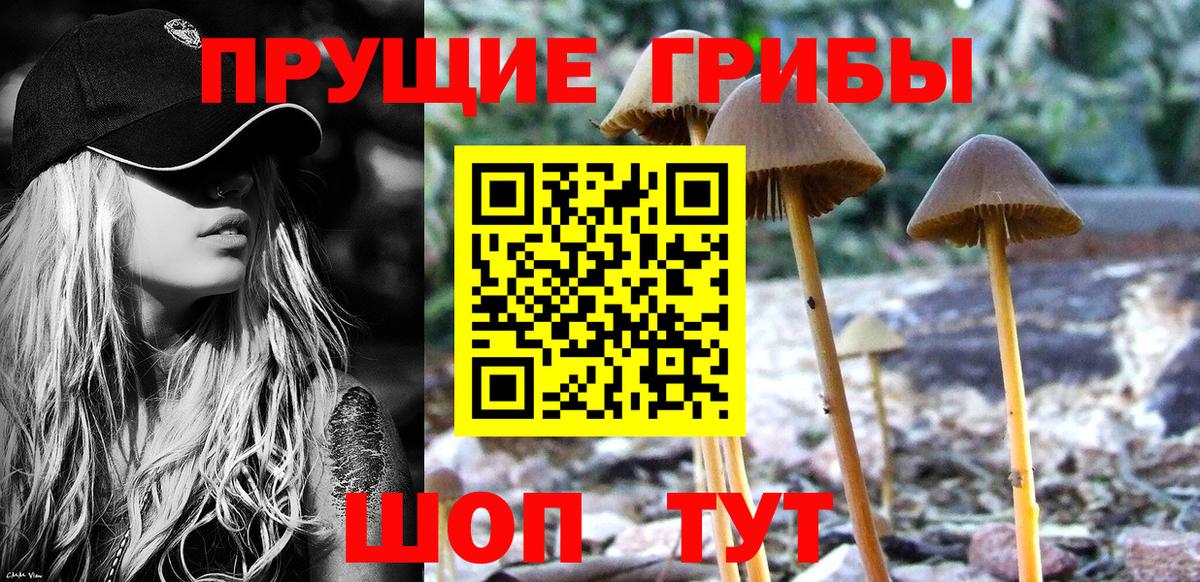 Псилоцибиновые грибы мицелий Канаш