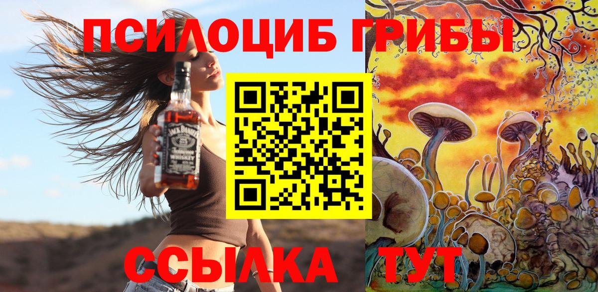 Псилоцибиновые грибы ЛСД  продажа наркотиков  Вход с VPN  Канаш  Галлюциногенные грибы Psilocybine cubensis 